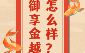 御享金越怎么样？从投保者角度看其灵活性与安全性